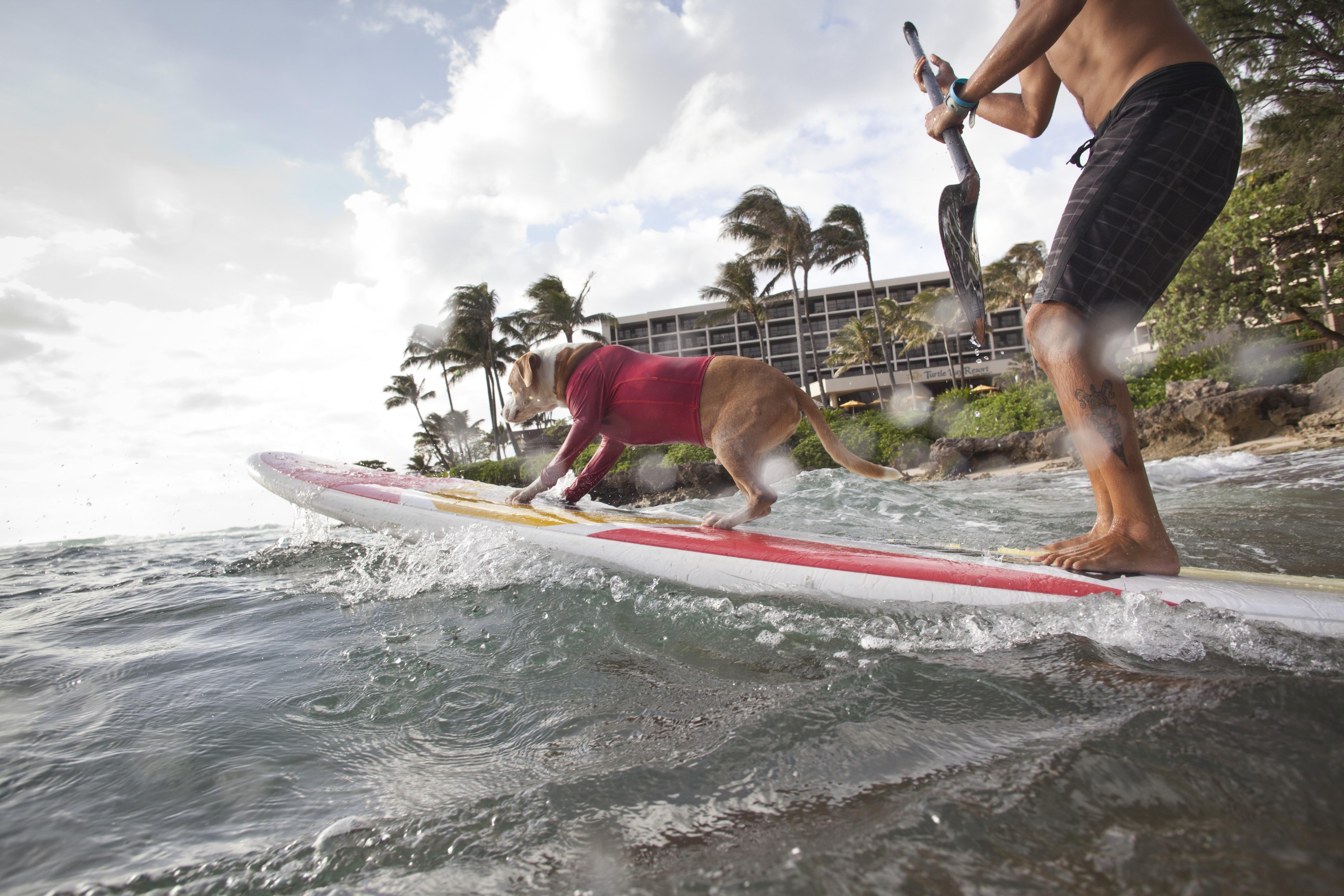 Turtle Bay Resort Kahuku Exterior photo